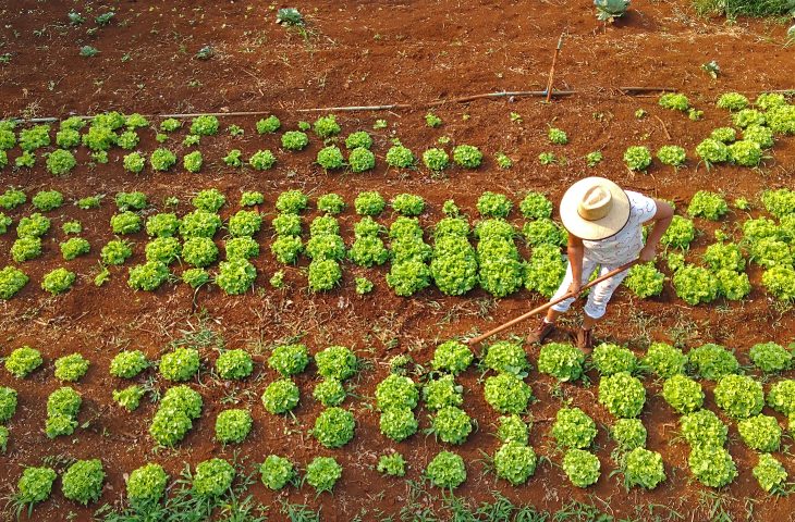 Governo de MS Lança Programa Inovador de Apoio à Agricultura Familiar Sustentável