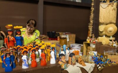 Governo de MS Impulsiona Economia Local com Novo Plano de Apoio a Pequenas Empresas