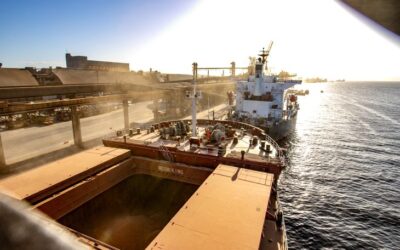 Exportações do Agronegócio de Mato Grosso do Sul Batem Recorde e Impulsionam Balança Comercial