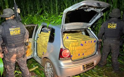 DOF apreende quase uma tonelada de maconha em fundo falso de caminhonete na fronteira