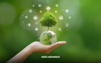 Acordo Global de Sustentabilidade Agrícola Apresenta Desafios e Oportunidades para o Agro Brasileiro