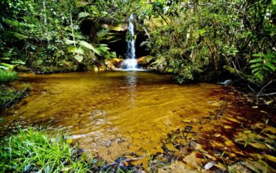 Pesquisadores da UFMS Desenvolvem Nova Técnica para Monitoramento de Nascentes no Cerrado