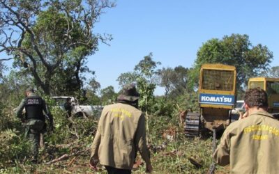 Fiscalização Intensificada Resulta em Multas por Desmatamento Ilegal no Pantanal