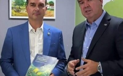 Pesquisa Ranking Brasil Inteligência revela Eduardo Riedel líder ao governo de MS e Flávio Bolsonaro na frente para presidência no estado, delineando cenário eleitoral 2026.